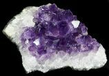 Amethyst Crystal Cluster - Uruguay #30548-1
